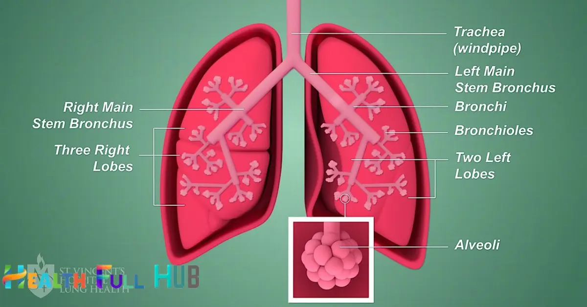 lung health